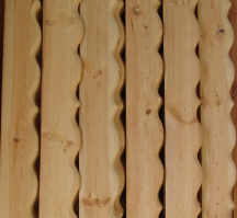 gallery/alin-tahtasi (3)