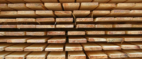 gallery/kereste-dogramalik-1